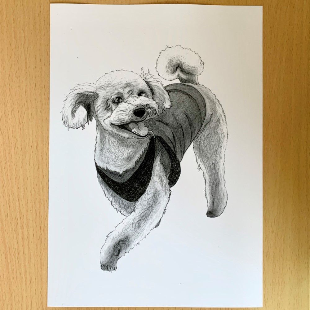 鉛筆画　オーダー画面 肖像画】細密鉛筆画（オーダー）・A4サイズ～ | iichi 日々の