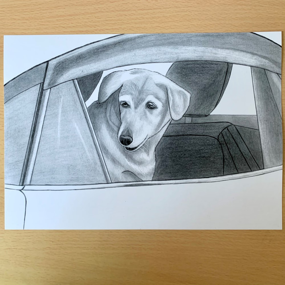 車の窓から覗く犬の鉛筆画（ラブラドールレトリーバー×柴犬） 1枚目の画像