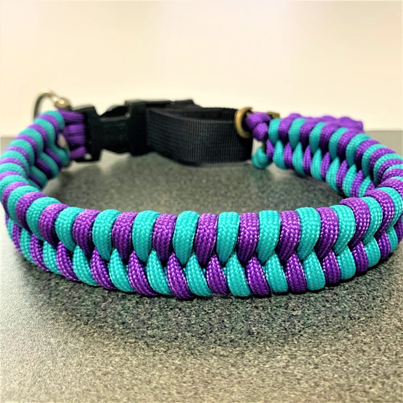 長さ調整付き犬用首輪（パープルブルー）中型犬～大型犬にお勧めパラ