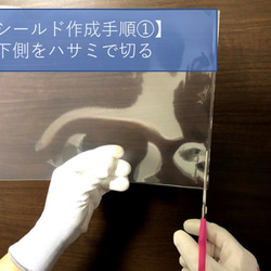 フェイスシールド1人分（シールド1枚付属） 5枚目の画像