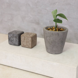 小物トレイ W300㎜×D180㎜ 厚52㎜ 植物鉢台 アクセサリー置き mortex