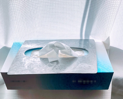 値下げ可　まとめ売りのみ　海外購入　ギフトバッグ　ギフトティッシュ 71zpH0ag65L._UF894,1000_QL80_.jpg