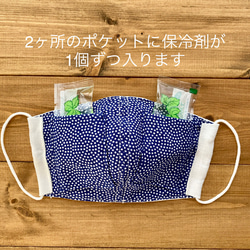 ひんやり冷たい❄️夏マスク❄️保冷剤ポケット付き立体マスク(保冷剤4個付き)女性用 7枚目の画像