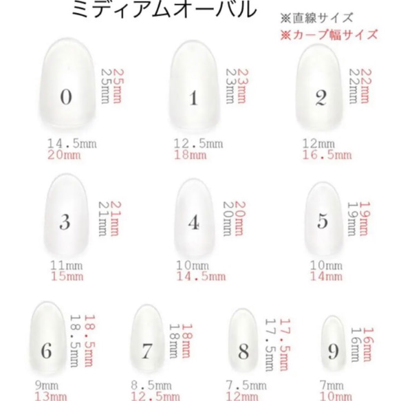 サイズ確認用ネイルチップ 2枚目の画像