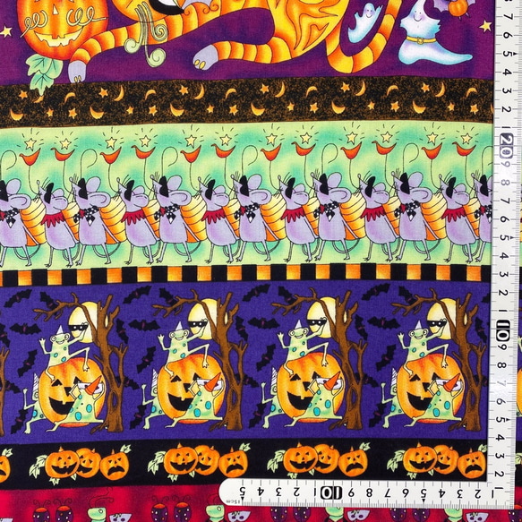 USAコットン　   Halloween Fantasy Sampler  布幅×６０㎝    DK16 4枚目の画像