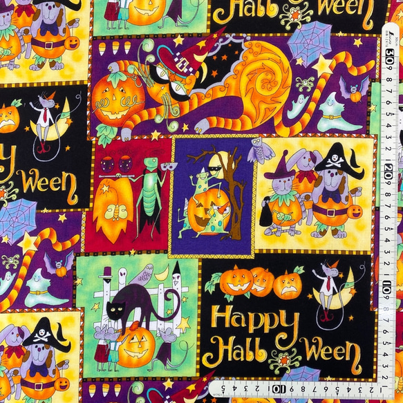 USAコットン　Daisy Kingdom    Halloween Fantasy Pach  DK17 2枚目の画像