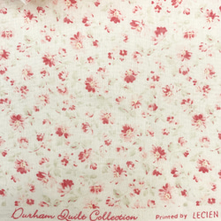 国産コットン　LECIEN Durham Quilt Collection   L39 6枚目の画像