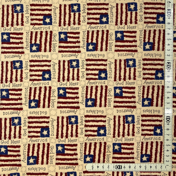 USAコットン　General Fabrics  TRENA'S AMERICA      GE1 2枚目の画像