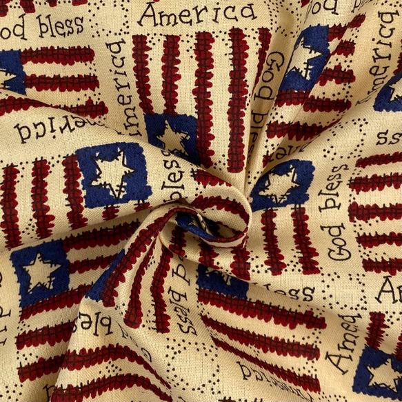USAコットン　General Fabrics  TRENA'S AMERICA      GE1 4枚目の画像