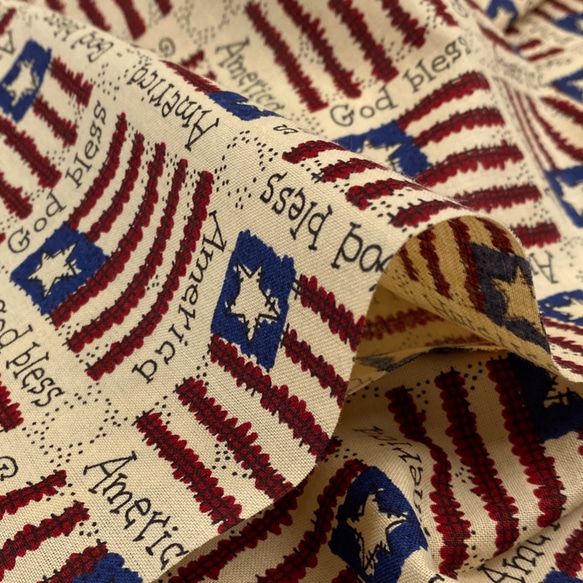 USAコットン　General Fabrics  TRENA'S AMERICA      GE1 5枚目の画像