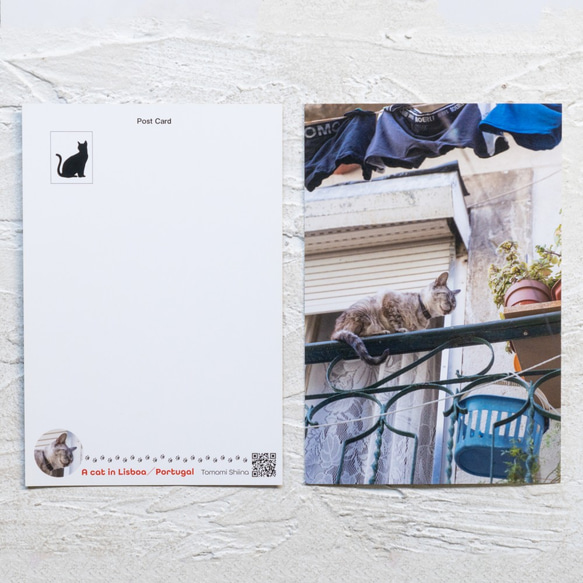 【旅するポストカード】ポルトガルの猫・ポストカードセット５枚組 2枚目の画像
