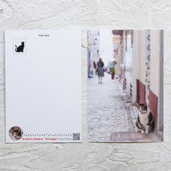 【旅するポストカード】ポルトガルの猫・ポストカードセット５枚組 5枚目の画像