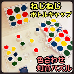 モンテッソーリ パズル ねじまわし【知育玩具  保育教材 発達 療育 介護 リハビリ】 1枚目の画像