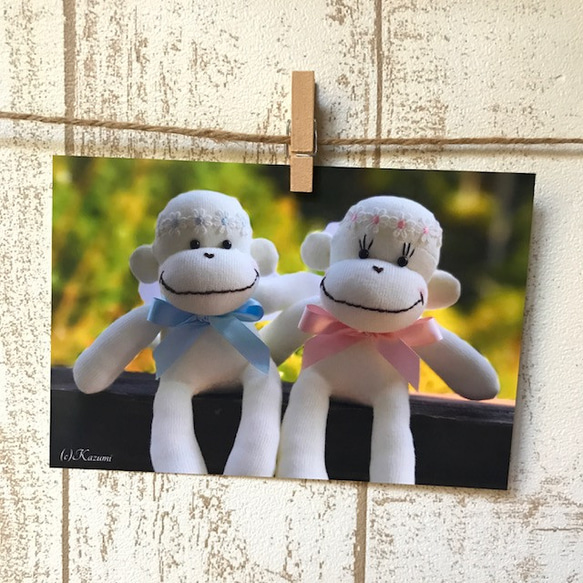 【送料無料】ソックモンキーポストカード 5枚セット（Sock Monkey Angels) 1枚目の画像