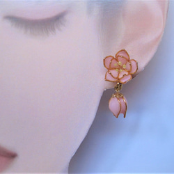 淡いピンクの桃の花 9枚目の画像