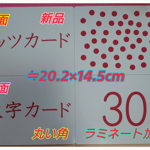 新品】〘0歳から始める〙ドッツカード【0〜50】算数記号、袋付