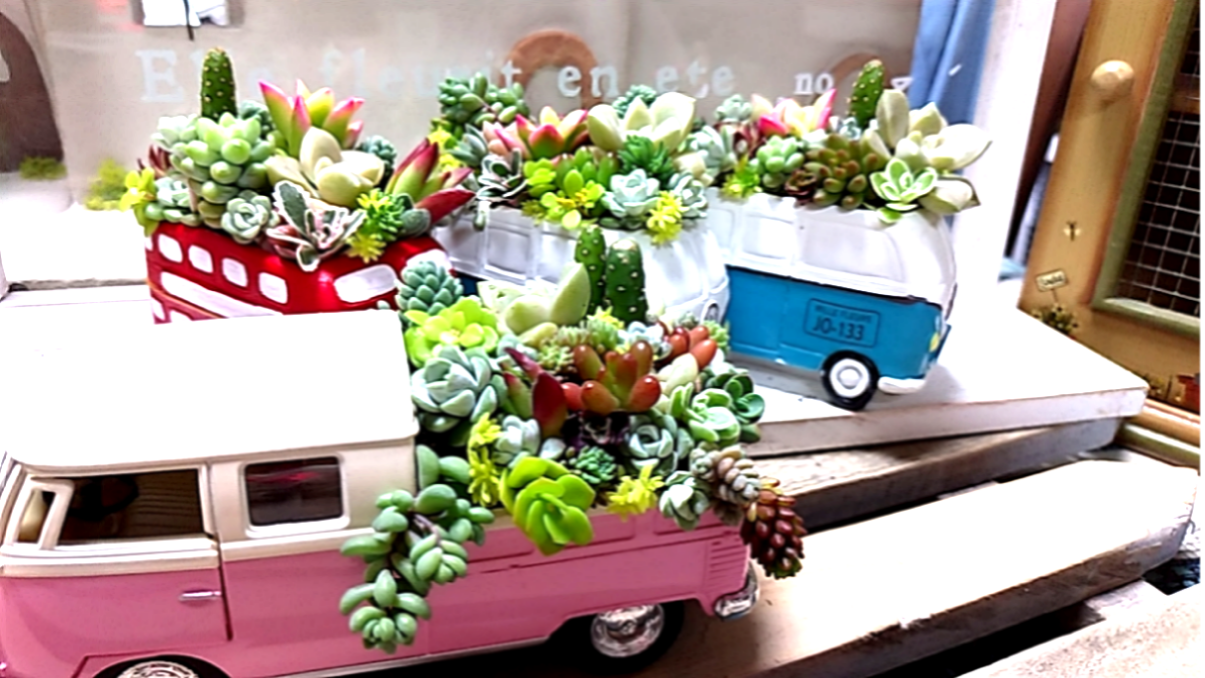 【専用】ワーゲン風バスのチマ寄せ*そのまま飾れる多肉植物の寄せ植え