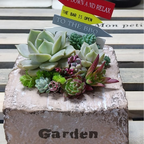 多肉植物寄せ植え❤このまま飾れます 多肉植物 ちいこ 通販 12004197