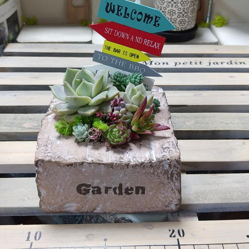 多肉植物寄せ植え❤このまま飾れます 多肉植物 ちいこ 通販 12004197