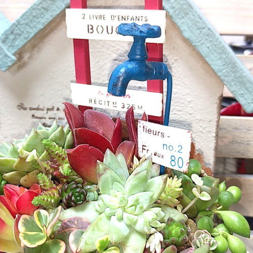 多肉植物寄せ植え❤蛇口ピック付き❤このまま飾れます その他