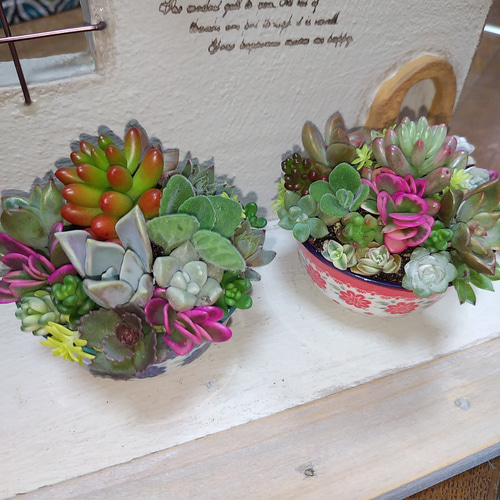 ❤多肉植物寄せ植え❤オーダー承ります その他インテリア雑貨