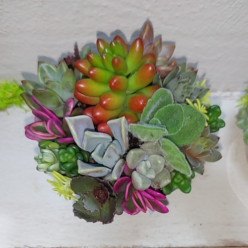 ❤多肉植物寄せ植え❤オーダー承ります その他インテリア雑貨