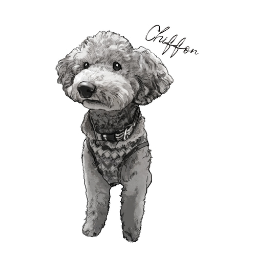 似顔絵イラストオーダーsampleページ☆ 似顔絵イラスト #似顔絵 #似顔絵師 #にがおえ #似顔絵オーダー