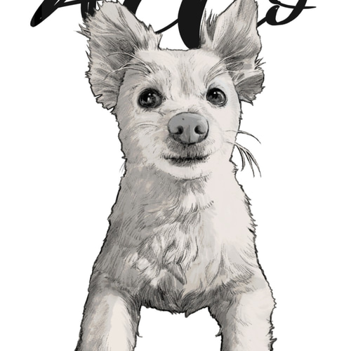 ペットのイラストオーダー/犬や猫の似顔絵 イラスト ふゆう 通販