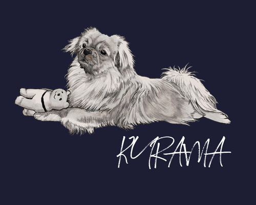 ペット似顔絵 オーダーメイド イラスト 犬 猫 お描きします