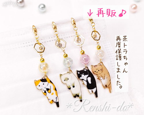 茶トラちゃん再度保護♪》つままれにゃんこのマスクチャーム♪(=^_  
