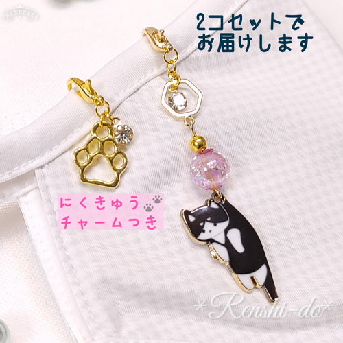 茶トラちゃん再度保護♪》つままれにゃんこのマスクチャーム♪(=^_  