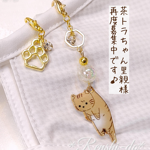 茶トラちゃん再度保護♪》つままれにゃんこのマスクチャーム♪(=^_  