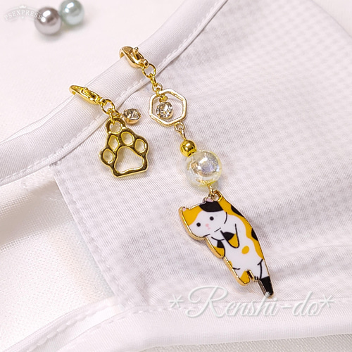 茶トラちゃん再度保護♪》つままれにゃんこのマスクチャーム♪(=^_  