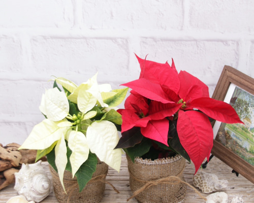 0_3390b67f42a5002d60add053b1ba