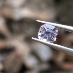 トルマリン原石 バイカラ― 48mm 天然石 コレクション｜原石・鉱物｜10