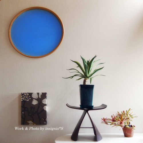 現品販売です。幹上がりタイプでアートなアガベ・ベネゼイラ 現品販売です。幹上がりタイプでアートなアガベ・ベネゼイラ