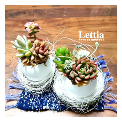 ステンドグラス製　星のテラリウム(小) ステンドグラス製 星のテラリウム(小) - メルカリ