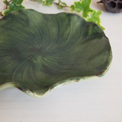 蓮皿 (Deep green) *s-Salad Dish 3枚目の画像
