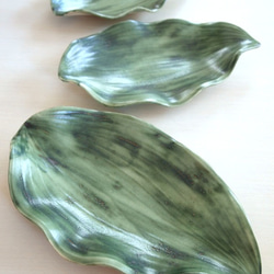 Leaf Dish (Fine Green)【ハランの葉皿】 1枚目の画像