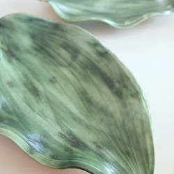 Leaf Dish (Fine Green)【ハランの葉皿】 4枚目の画像