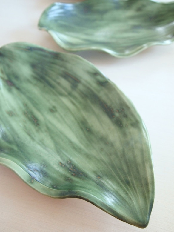 Leaf Dish (Fine Green)【ハランの葉皿】 4枚目の画像