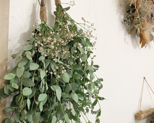 0_6f442dca94ba024fdf95472a1909