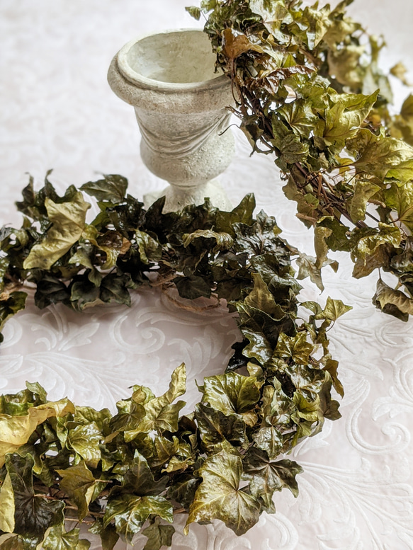 アンティーク ドライアイビーリース リース Ttree 通販 10366114