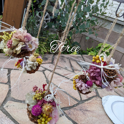 隠れ家付き！苔テラリウム 観葉植物 溶岩石レイアウト 生体飼育ケージ