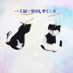 ☆猫シリーズ☆ 白黒の猫ちゃんのイヤリングorピアス☆彡 4枚目の画像