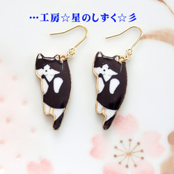 ☆クマちゃん柄が可愛いfancy猫ちゃんピアス☆ 1.jpg
