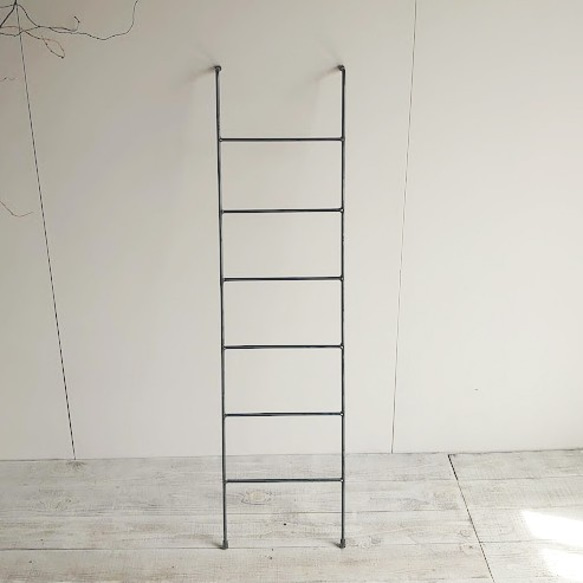 シンプルなアイアンのラダー 梯子 ディスプレイ その他家具 ねこと花