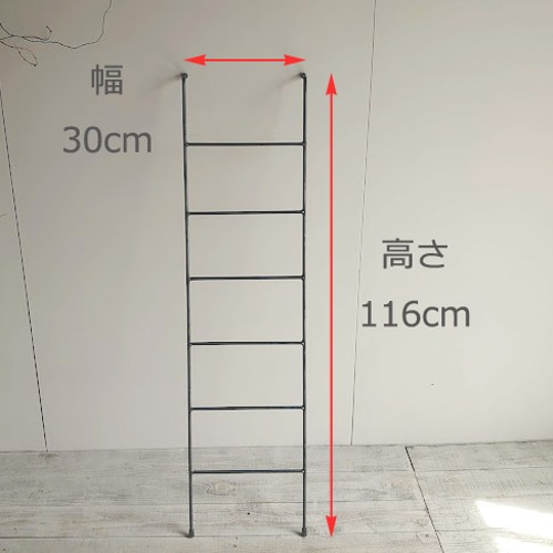 シンプルなアイアンのラダー 梯子 ディスプレイ その他家具 ねこと花