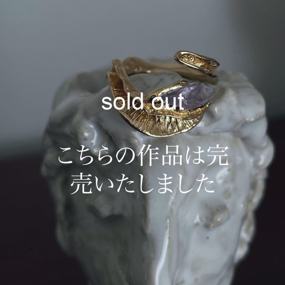 sold out 1枚目の画像