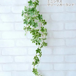光触媒 大人気！ フェイクグリーン   空気綺麗 シュガーバイン シサス 造花 シュガーパイン 壁掛け 　 3枚目の画像